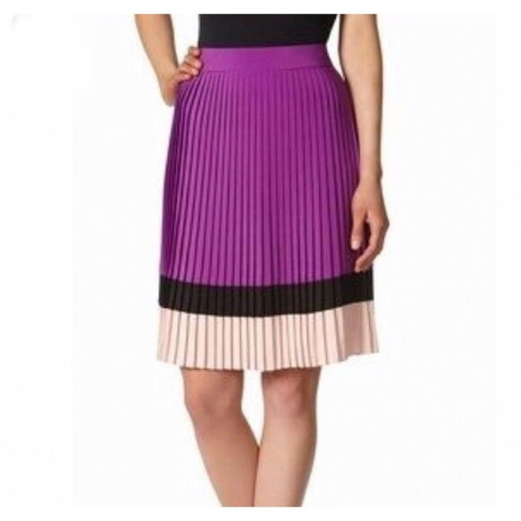 The Limited Skirt Womens Large Pleated Knee Length Side Zip Career Modest New - Picture 2 of 10